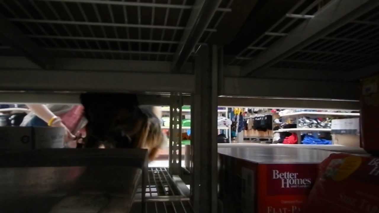 rescue dogs rock nyc March 17th, 2013 Teddy PAWZ in training ~ Part V