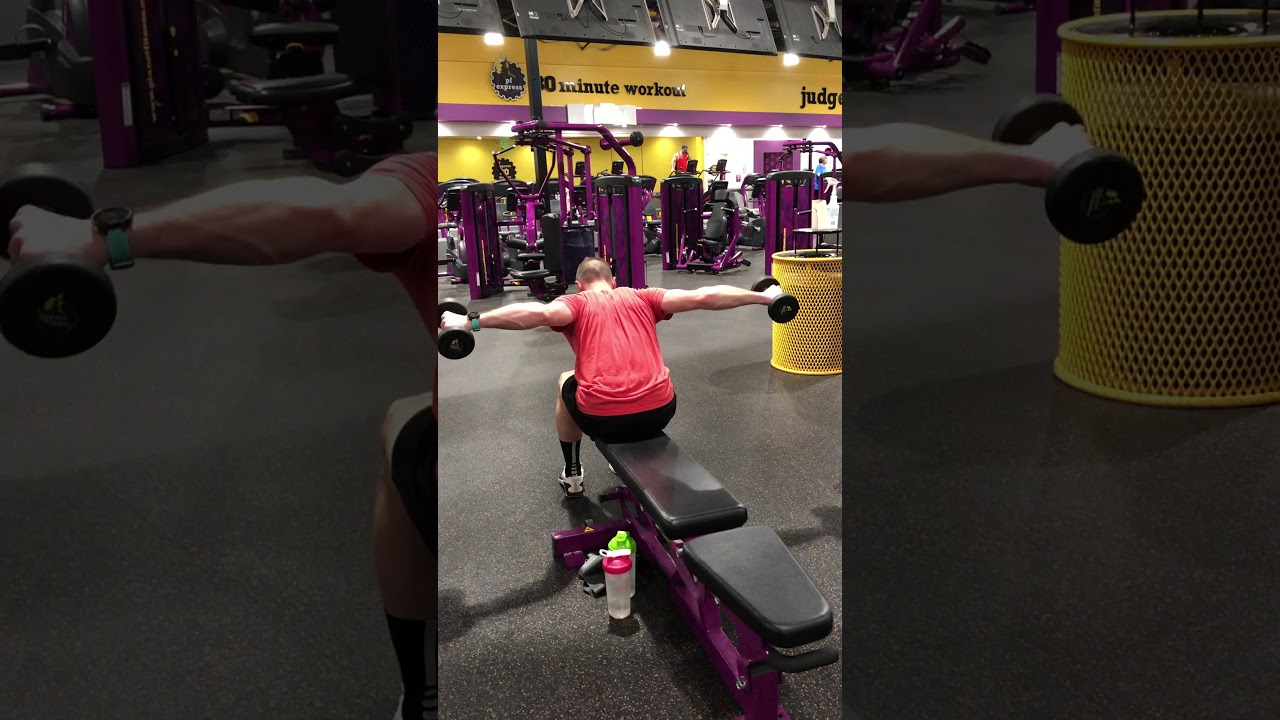 Seated Dumbbell Reverse Fly - YouTube