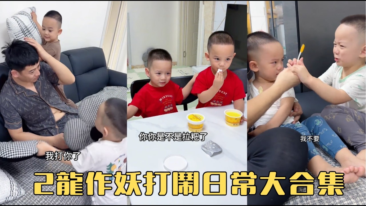 2龍作妖打鬧日常大合集#兩個小龍子 #雙胎寶寶的日常