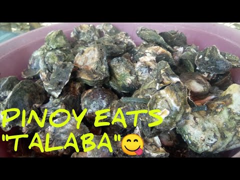 Video: Mga Medalyong Baboy Sa Sarsa Ng Talaba Ng Talaba