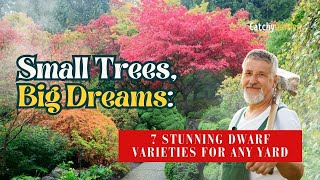 Small Trees & Big Dreams: 7 Stunning Dwarf Varieties for Any Yard 🏡🌸👍