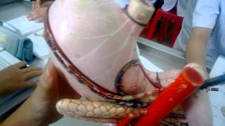 WP 20130608 004