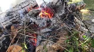 3 Minute - Campfire Scene