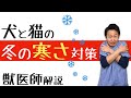 冬の寒さはこう乗り切る！【獣医師解説】犬と猫の寒さ対策