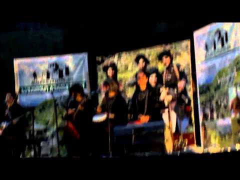 დები გოგოჭურები – სად წამიხვალ