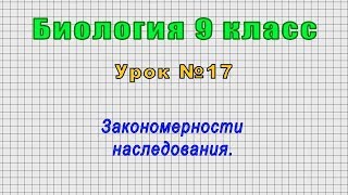 Биология 9 класс (Урок№17 - Закономерности наследования.)