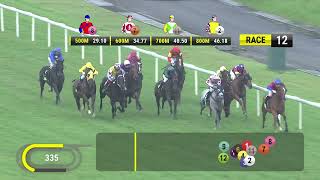 Vidéo de la course PMU PRIX GINGERBREAD MAN 2011 STAKES