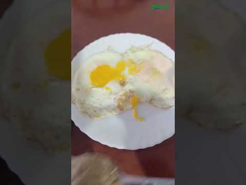 طريقة إستعمال شوك الجمل