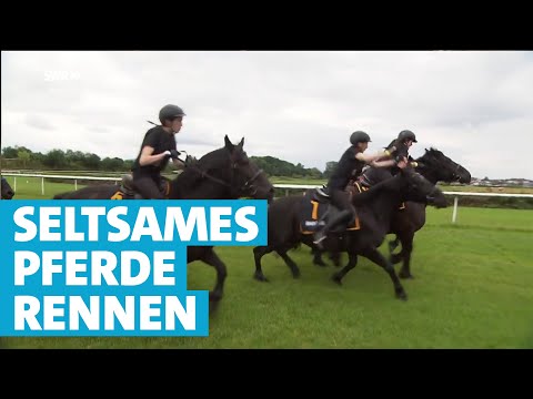 Video: Morgen Unterwegs - Wandern, Pferderennen