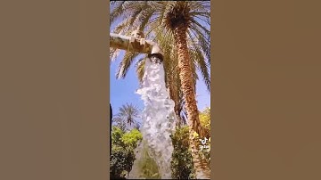 آية الكرسي برواية ورش للقارئ هشام الهراز