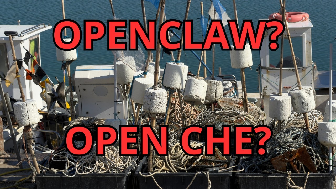OPENCLAW riflessioni sul fenomeno e sul rumore che sta crescendo intorno a questa cosa. Opinioni mie