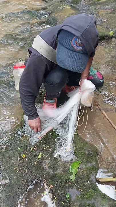 Mizoram a len den thiam ber, pu Petera