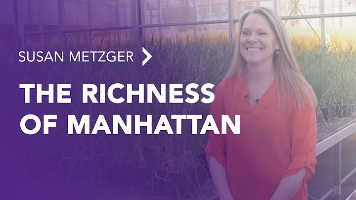 Susan Metzger - The Richness of Manhattan