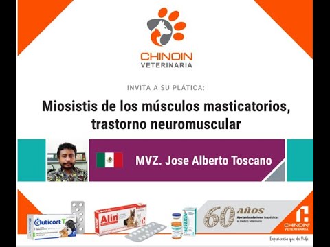 MIOSISTIS DE LOS MUSCULOS MASTICATORIOS, TRASTORNO NEUROMUSCULAR Dr. Alberto Toscano