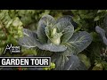 A Tour of My Organic Garden