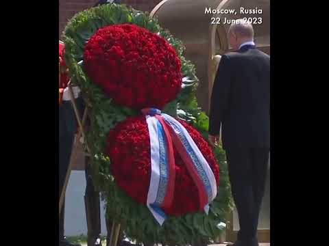 Video: Kaupunki Pietari, Admiralteyskiy piiri: MFC