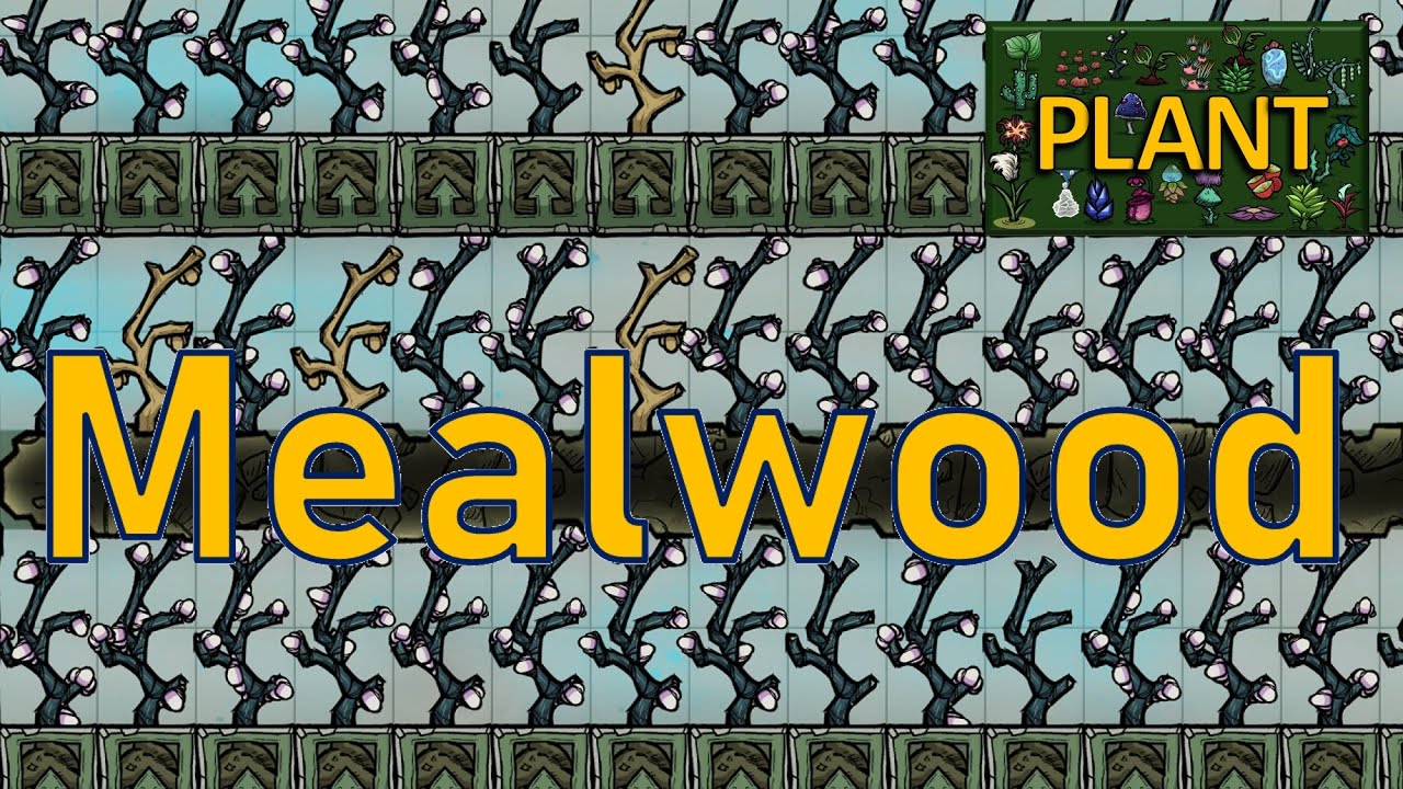 Oxygen Not Included Plant Tutorial Bites Mealwood YouTube