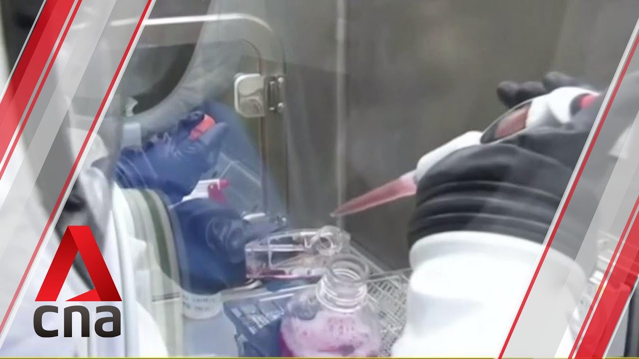 COVID-19: Singapore partners Switzerland to champion vaccine accessibility efforts