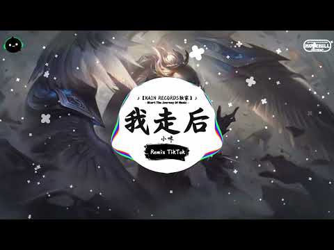 我走后 (抖音DJ版) - 小咪「我不明白牵着的手，怎么牵着牵着就放了。」♪  || 年度最佳抖音歌曲 | 抖音最火歌曲音 | 抖音 | TikTok •|• Douyin ♪