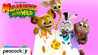 The Zoo Crew's Messy Mayhem | MADAGASCAR A LITTLE WILD