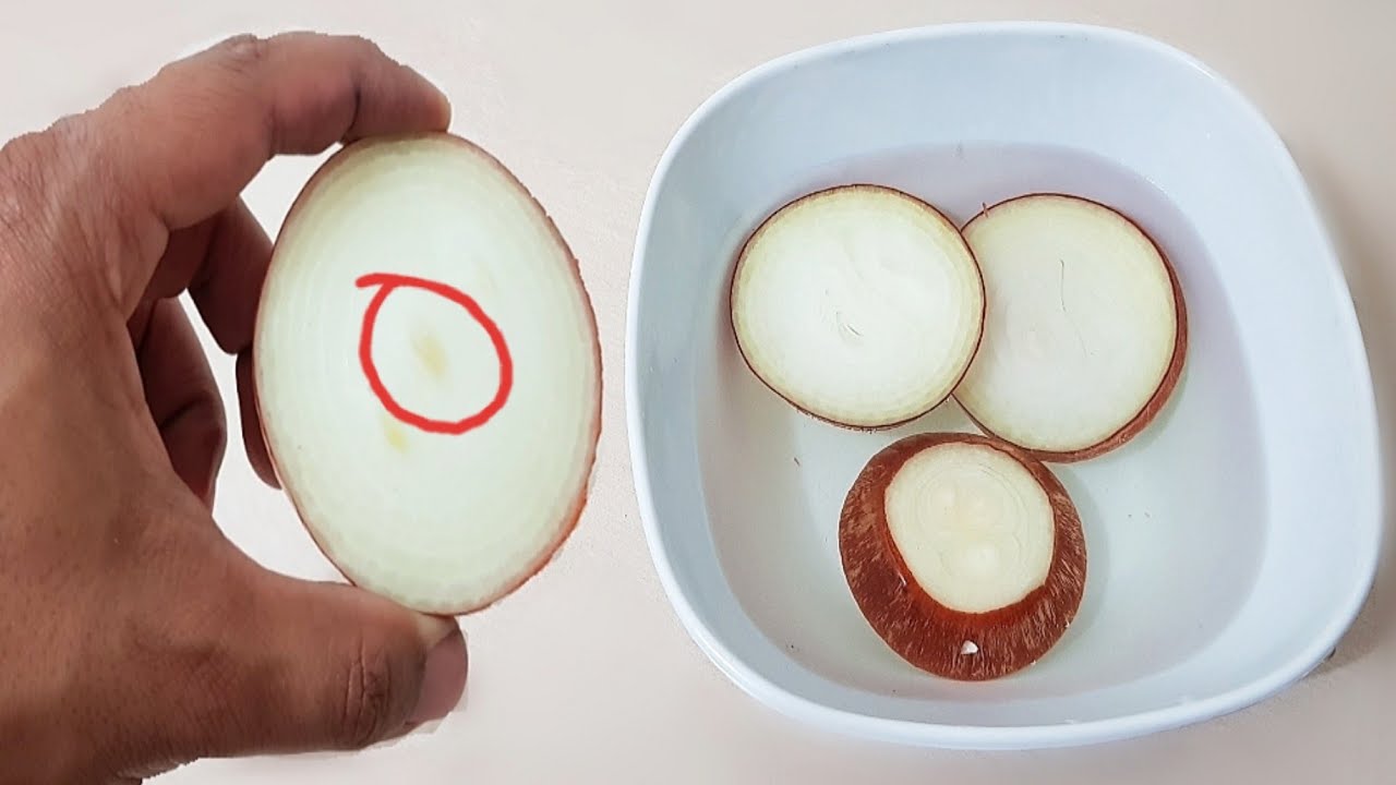 UM PEDAÇO DE CEBOLA NO QUARTO( técnica purificadora de AR) - YouTube