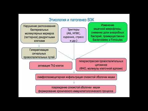 Воспалительные заболевания кишечника, лекция для студентов 5 курса