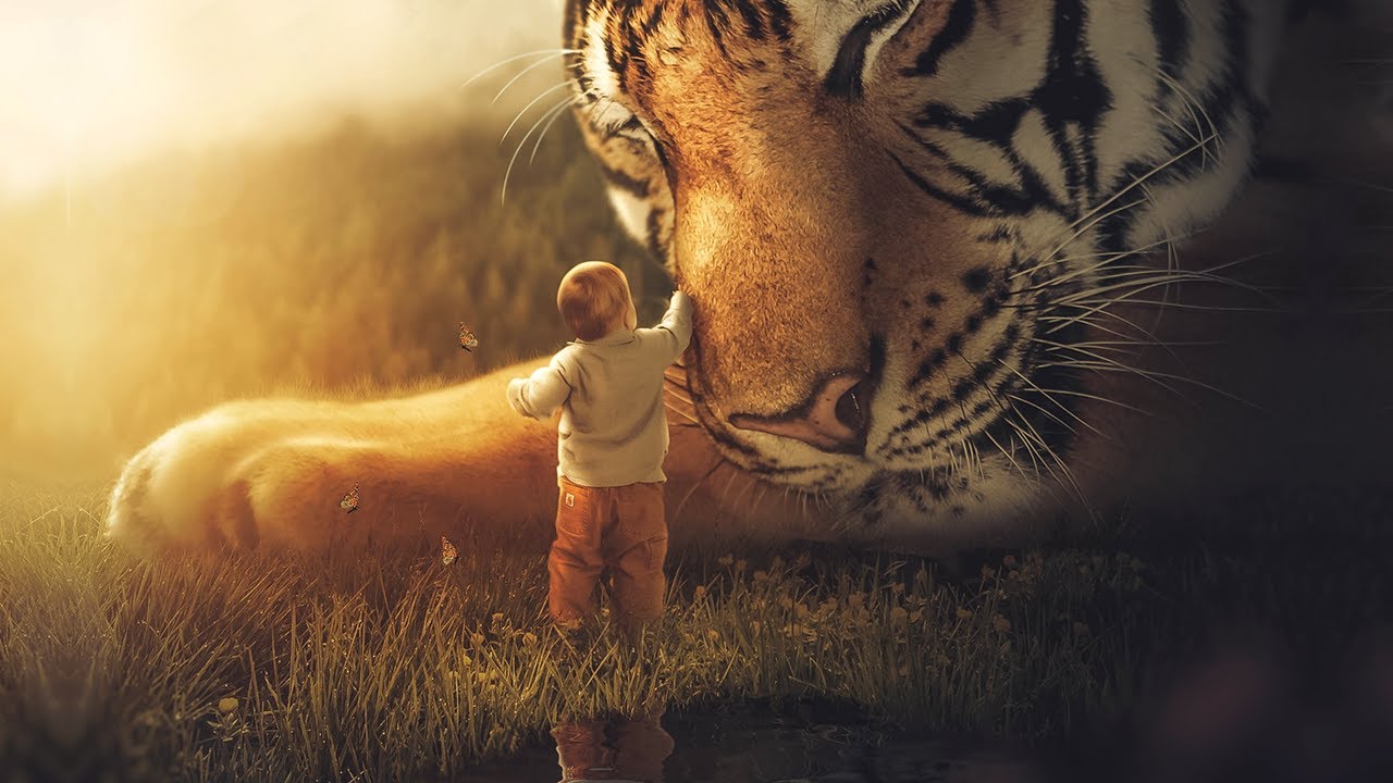 Learn To Create A Digital Art Manipulation In Adobe Photoshop YouTube Learn To Create A Digital Art Manipulation In Adobe Photoshop YouTube