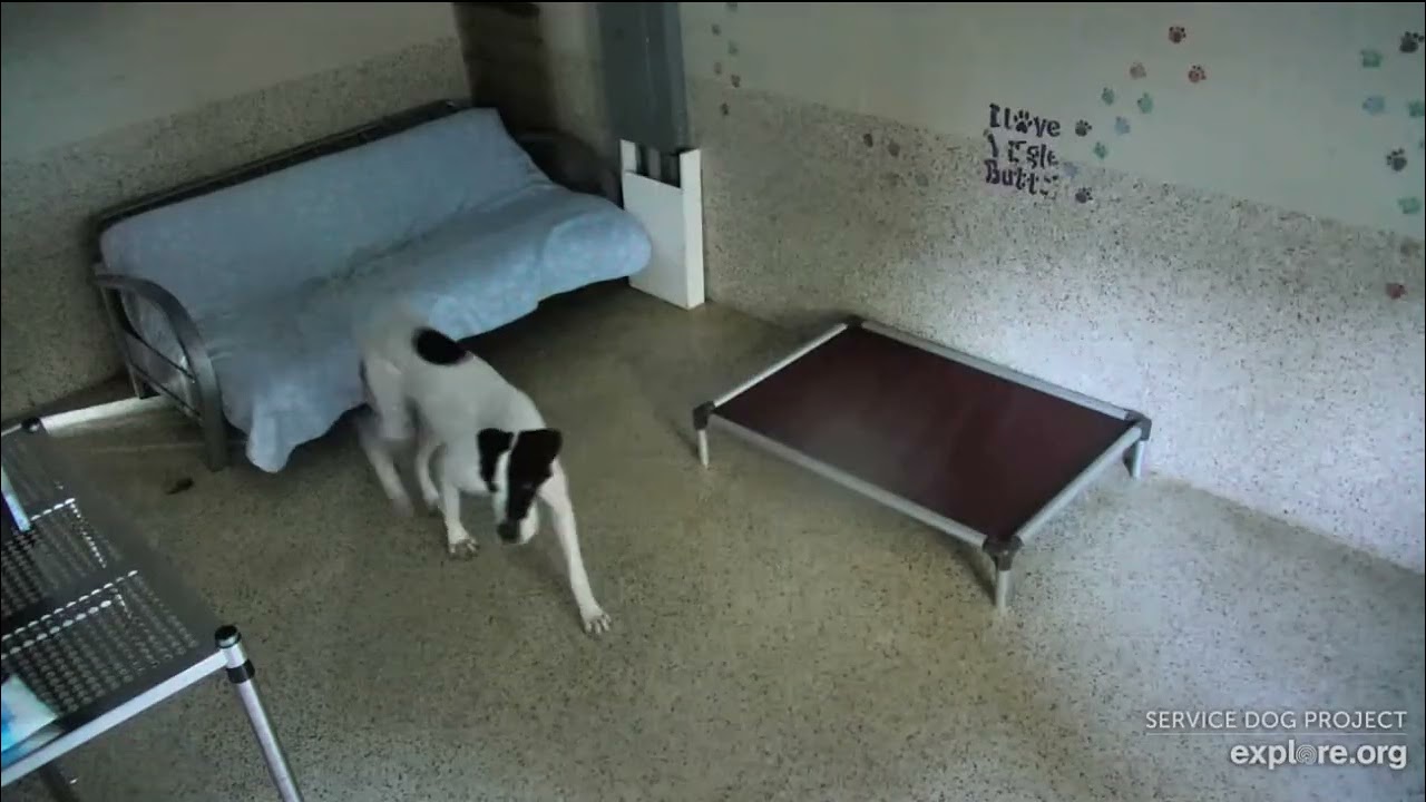 Ice Ohio Duchess after 335pm to 5pmish she leaves probably with Diane