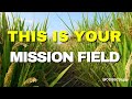 This Is Your Mission Field Lyrics 