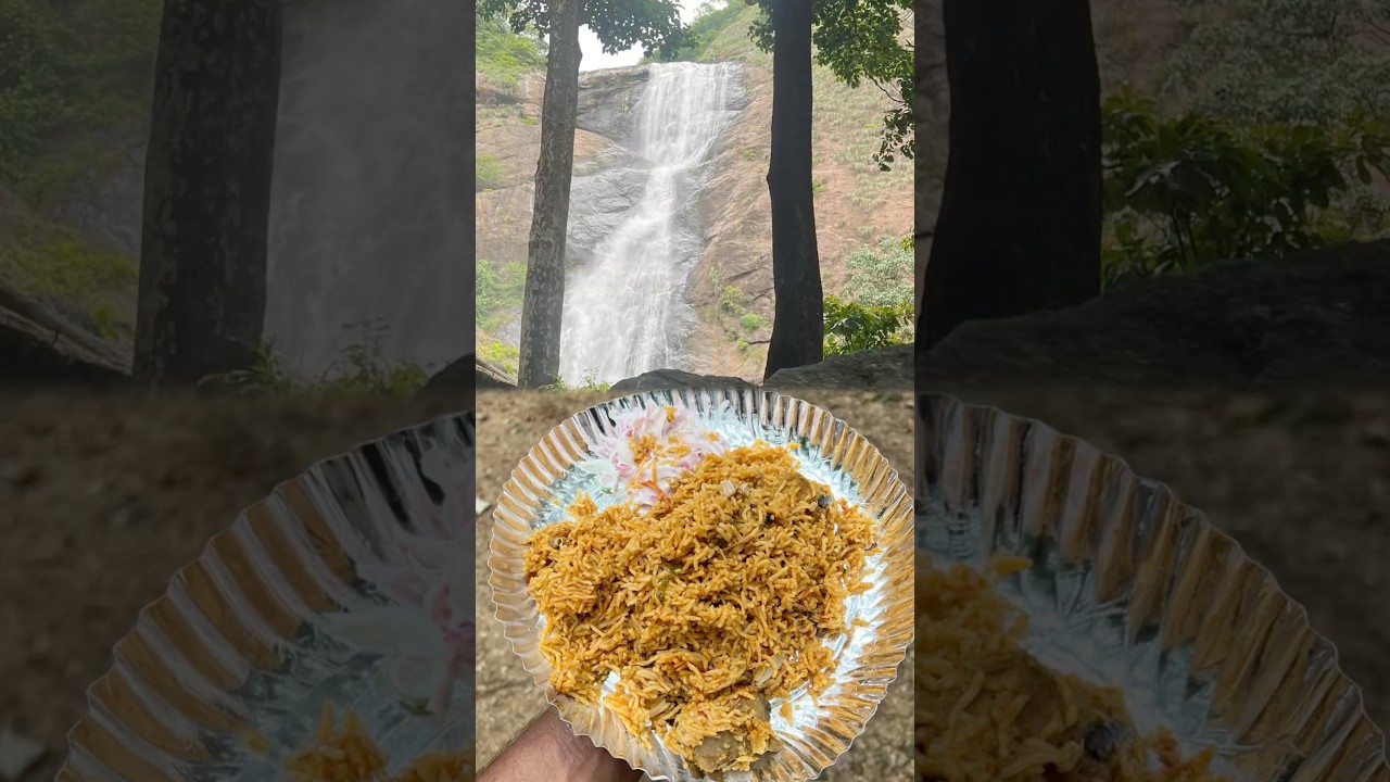 💢குற்றாலத்துல செம தண்ணீர்🤣#mrmohamed #food #cooking #chicken #kuttralam #falls #shorts