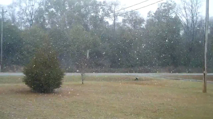 Snow Day
