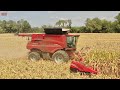 FIRST DAY of Corn Harvest 2021 : CASE IH 9250 Combines