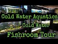 Fish Room Tour March 2021 Maple Street Aquatics