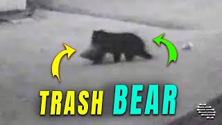 Bear Helps Itself to Trash and Decides to Take Leftovers