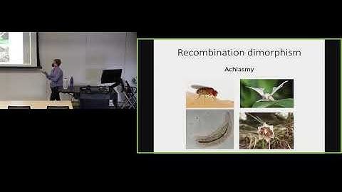 UM EEB Tuesday Seminar: Joanna Rifkin