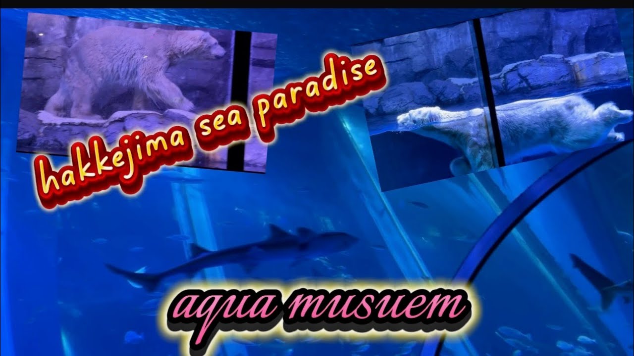 Hakkeijima Sea Paradise( Japan )