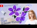 Pipe Cleaner Flowers | DIY Crafts | Glue & Glitter 💐🌼🪻