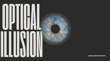 Optical Illusion Turns Black & White Video into Color!