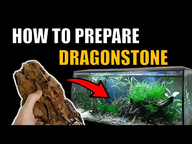 DIY/How to make a rock/slate/structure for a fish tank/aquarium