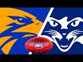 West Coast Eagles vs Geelong Cats AFL Football Live from Optus Stadium