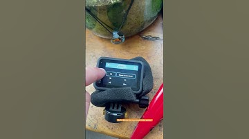 GoPro 13 Black Loop Mode Enable