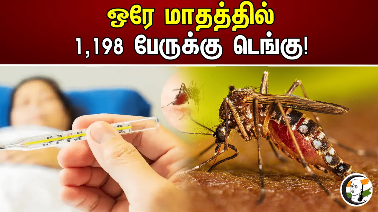 ஒரே மாதத்தில் 1,198 பேருக்கு டெங்கு! | Dengue