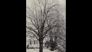 April 1973 Snow Storm and March 1976 Ice Storm