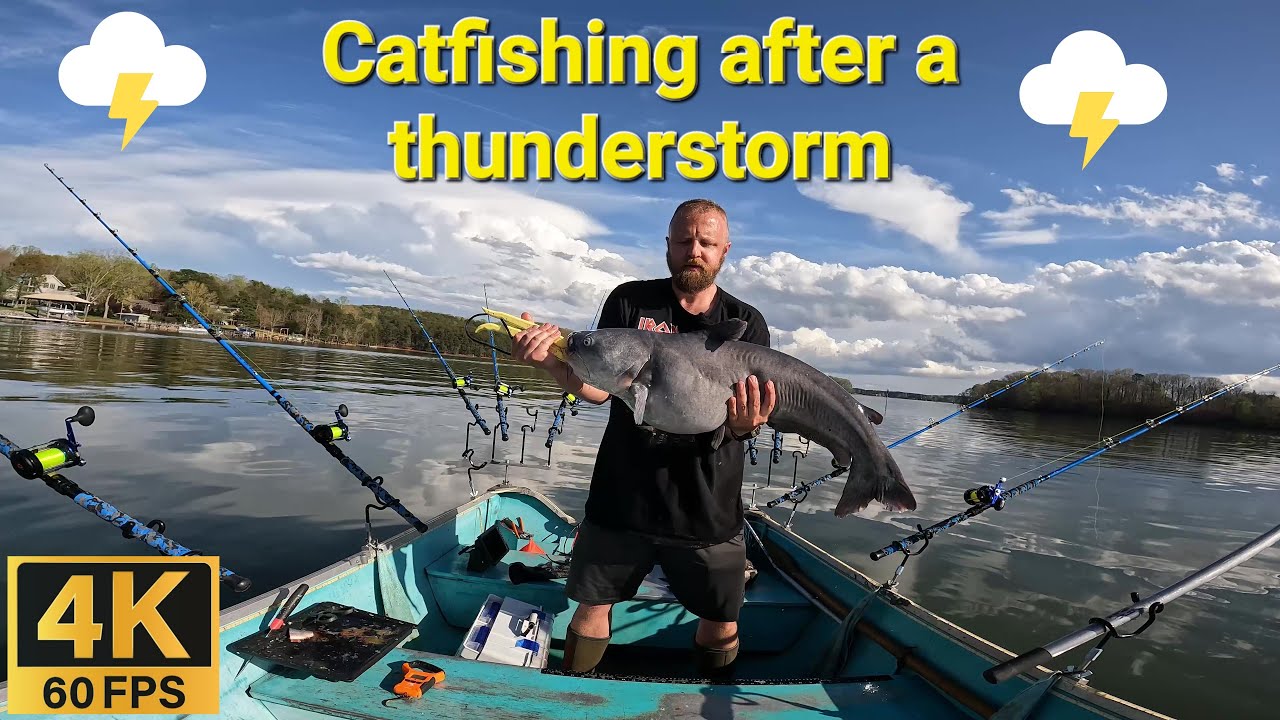Catfishing after a thunderstorm 