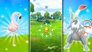 GROOKEY COMMUNITY DAY LEAK IN POKEMON GO! Kyurem Fusion RAID DAY / New Paldean Pokemon Debuts!