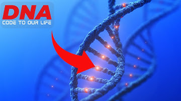 DNA: The Blueprint of Life Revealed! What is DNA? #dna #rna #protein