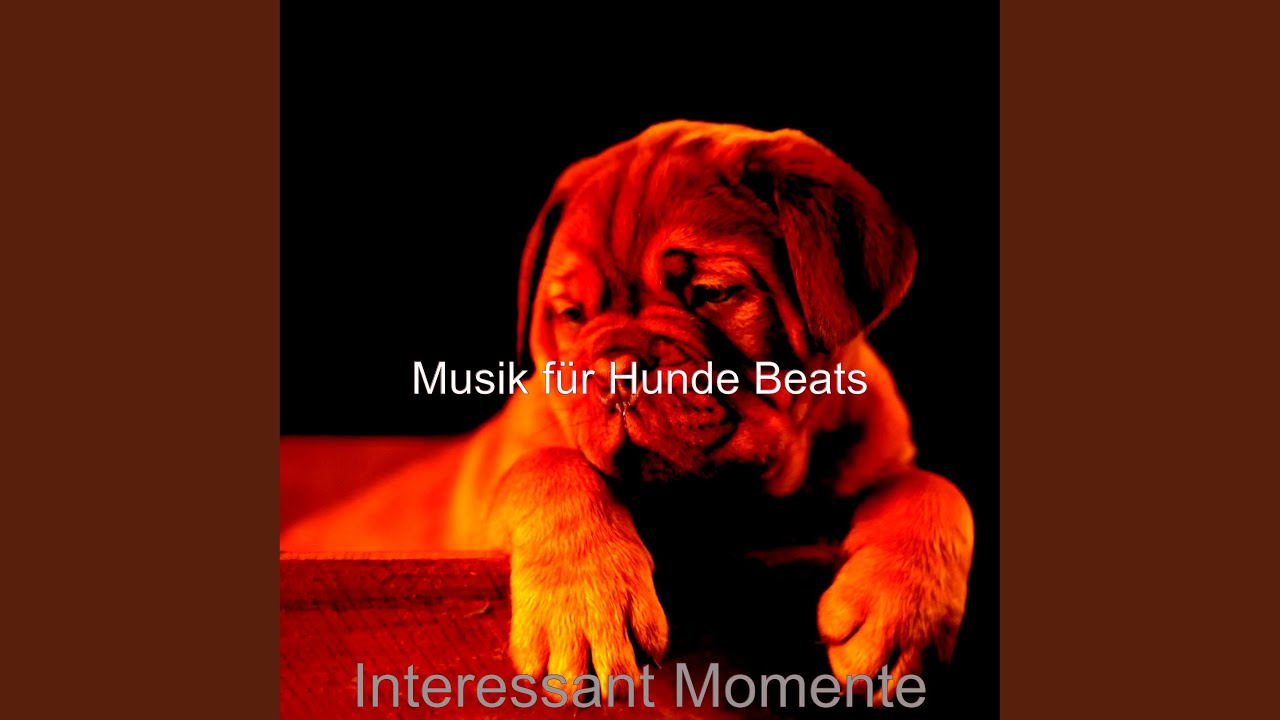 Unterhaltsame - Musik - YouTube