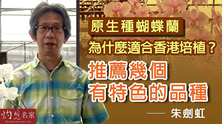 朱剑虹：原生种蝴蝶兰为什么适合香港培植？推荐几个有特色的品种 《种好兰花》（2022-07-10） - 天天要闻