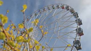 12081451 sd 426 240 30fps