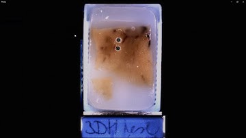 3DHISTECH - TMA Grand Master Video Tutorial Part3